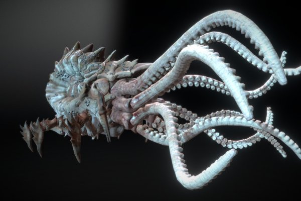 Kraken официальный сайт ссылка через tor
