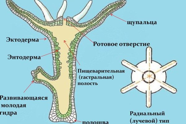 Kraken сайт магазин
