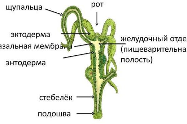 Как найти актуальную ссылку на кракен