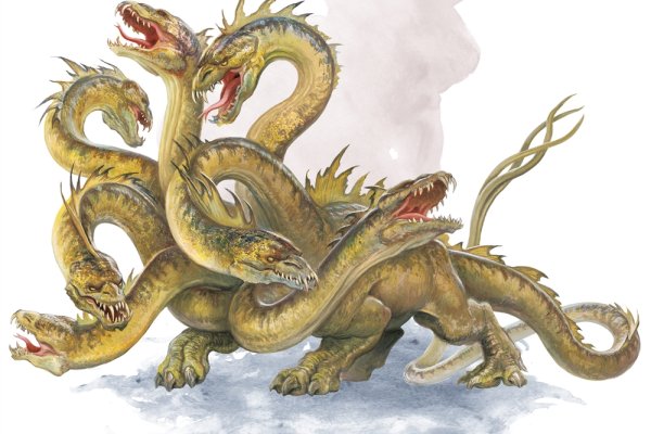 Kraken 11at