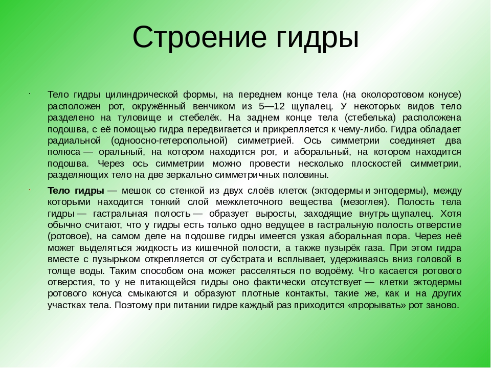 Ссылки зеркала на kraken